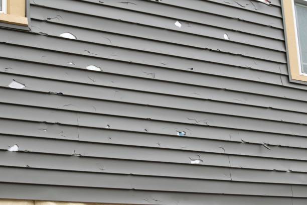Reliable St Martinville, LA Junk Removal Solutions